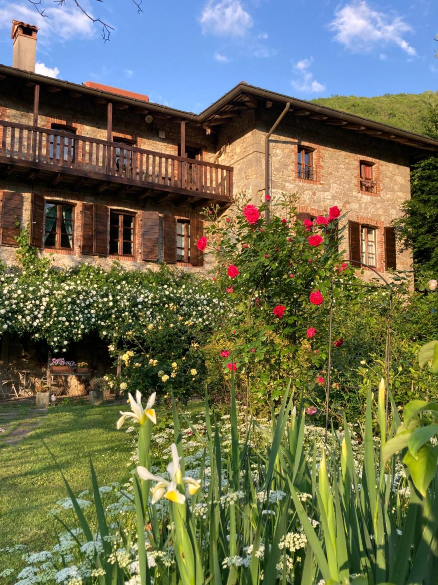 Casa Del Grivo - Alloggio Sole Faedis Luaran gambar